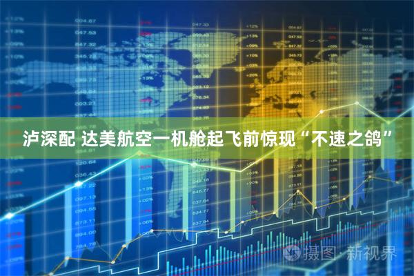 泸深配 达美航空一机舱起飞前惊现“不速之鸽”