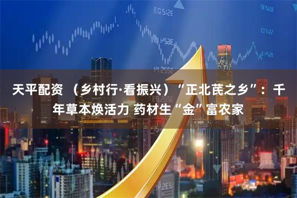 天平配资 （乡村行·看振兴）“正北芪之乡”：千年草本焕活力 药材生“金”富农家
