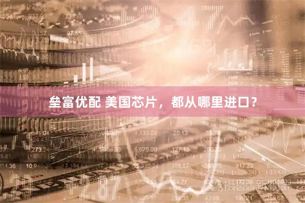 垒富优配 美国芯片，都从哪里进口？