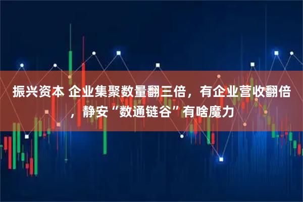 振兴资本 企业集聚数量翻三倍，有企业营收翻倍，静安“数通链谷”有啥魔力